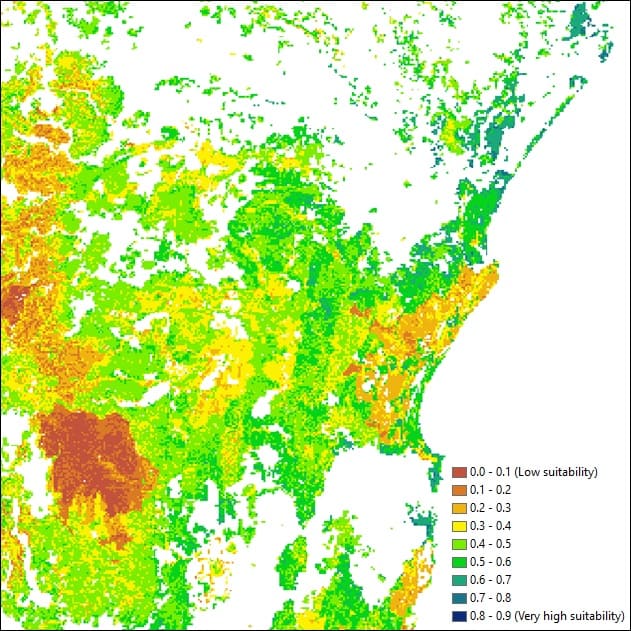 Koala habitat suitability map