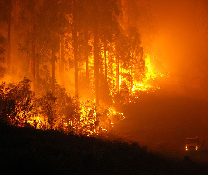 Trees engulfed in tall flames from a bushfire, there is a vehicle and a firefighter parked in the dark smoke next to the fire.