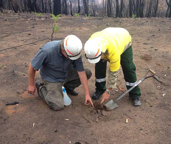 Two professionals in safety gear inspecting a post-fire landscape for environmental analysis.