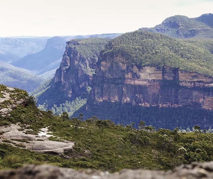 View of Lockleys walking track featuring rugged terrain with a mix of dense greenery and rocky outcrops, overlooking a vast valley with steep cliffs under a hazy blue sky.