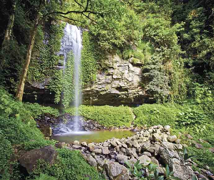 Water from the Crystal Shower Falls cascades down a rocky cliff into a clear pond.