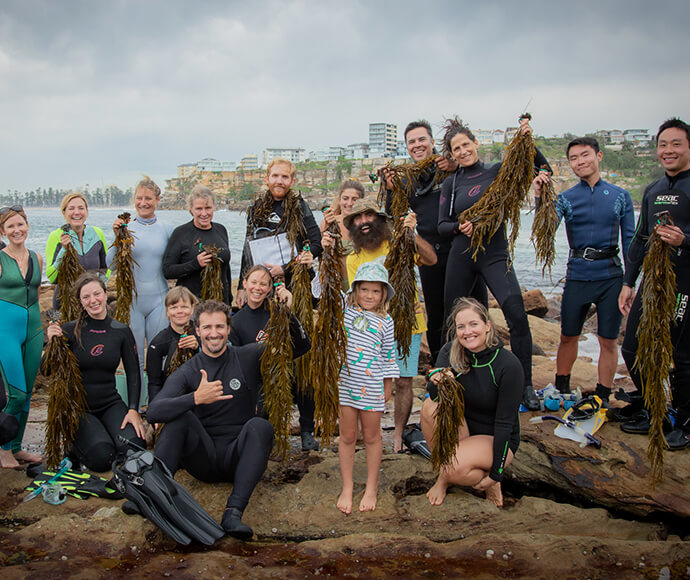 Citizen Scientists get involved in measuring Crayweed as part of the Crayweed Forest restoration off Bondi