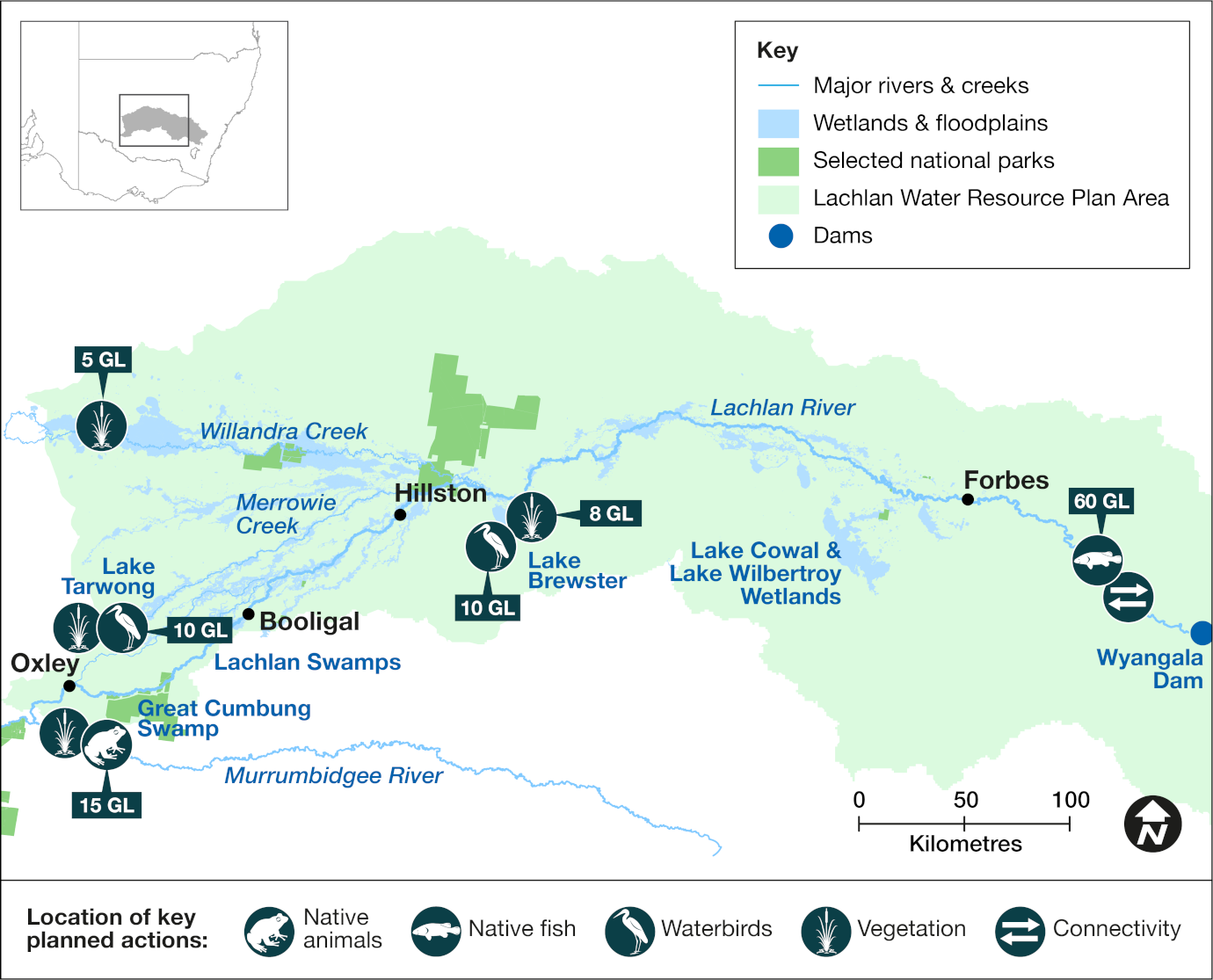 Map of the Lachlan catchment area showing priority targets and volumes of environmental water to be delivered in 2024-25. The map includes icons to indicate locations of planned water releases that aim to support water-dependent native animals, native fish breeding and dispersal, waterbirds, vegetation, and improve river channel condition and connectivity.