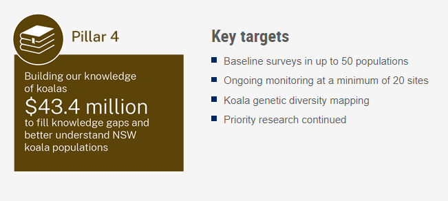 Infographic depicting Pillar 4 of the Koala Strategy, subtitled "Building our knowledge of koalas" and detailing key targets in this pillar