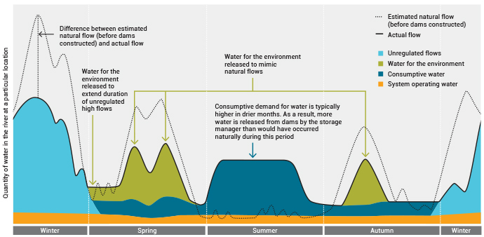 Diagram showing the quantity of water in a river at a specific location over four seasons. It compares estimated natural flow (dotted line) with actual flow (solid line) after dam construction. Colored areas represent different water uses: blue for unregulated flows, green for environmental water, yellow for system operating water, and orange for consumptive use.