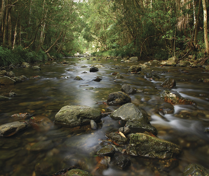 Clear creek flowing over rocks