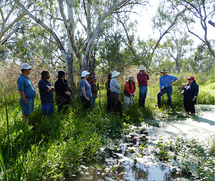 Gwydir Environmental Water Advisory Group at Gwydir Wetlands