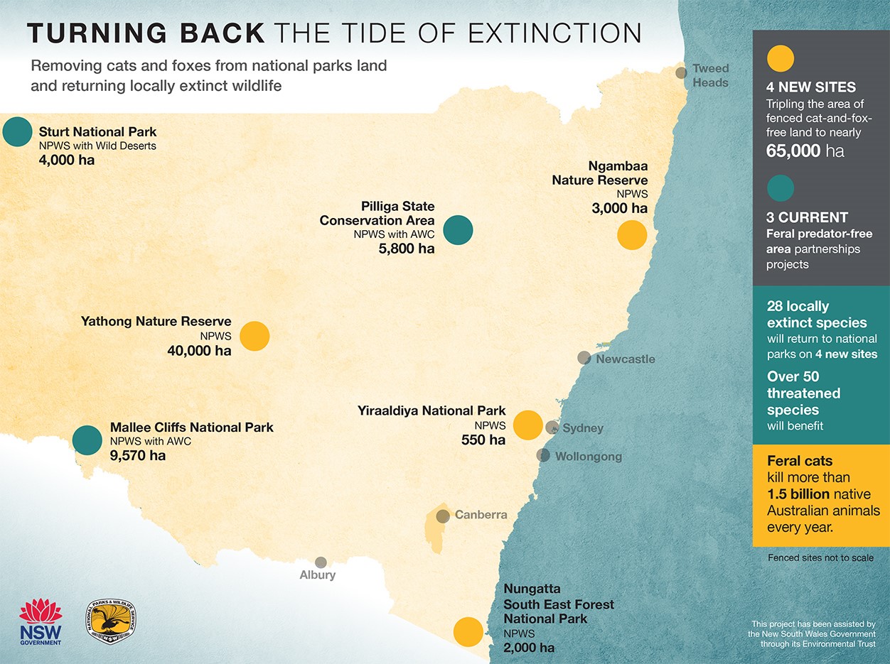 ‘Turning Back the Tide of Extinction’ by NSW National Parks and Wildlife Service, showing seven feral predator-free rewilding sites across the NSW national parks estate. The map highlights locations marked with green circles, indicating areas where cats and foxes are being removed to protect native wildlife. Each site is labeled with its name and area in hectares, with additional information about the conservation efforts and key statistics related to the project.