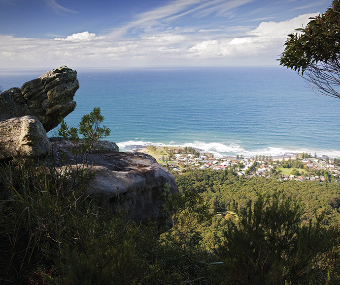 Aerial view of Woodward Track in the Illawarra Escarpment State Conservation Area