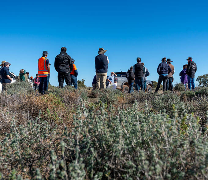 A group of people standing in a field with low shrubs under a clear blue sky, facing away from the camera towards a vehicle.