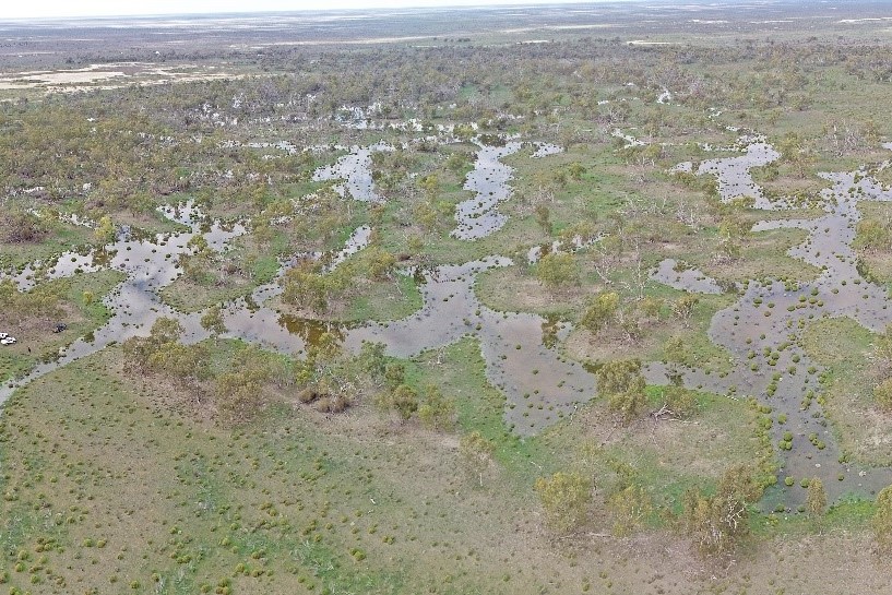 Birds eye view of the lower Merrowie Creek floodplain showing new green growth of shrubs and trees and environmental water spread across the floodplain.