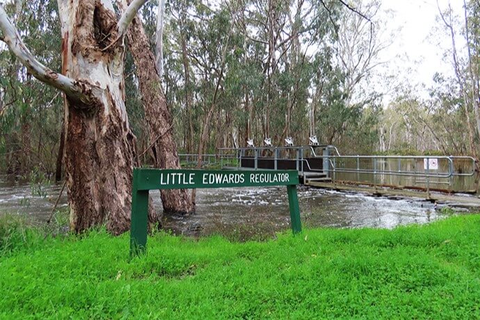 A green sign reading “LITTLE EDWARDS REGULATOR” in the foreground with a large tree to its left, set against a backdrop of a lush area with dense foliage and a metal walkway extending over waterlogged ground.