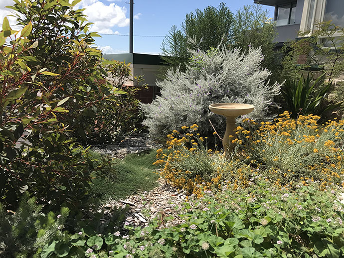 A lush garden with a stone birdbath surrounded by vibrant yellow flowers, green shrubs, and a silver bush under a clear blue sky. Peaceful, sunny atmosphere.