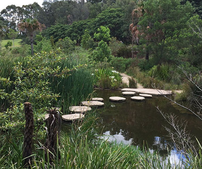 Stepping stones lead across a tranquil pond surrounded by lush greenery and tall trees, creating a serene, natural landscape.