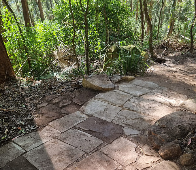 Stone pathway in a forested area with sunlight filtering through the trees. The path is made of rectangular stone slabs of varying sizes and colors, leading into dense greenery. Surrounding vegetation includes various plants and trees, with some fallen leaves and rocks scattered around the path.