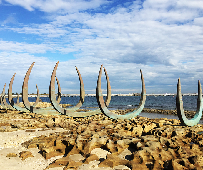 The Eyes of the Land and the Sea - Path View: View of "The Eyes of the Land and the Sea" sculptures along a sandy pathway, showing multiple eye shapes arranged in a natural landscape setting, symbolizing Indigenous perspectives.