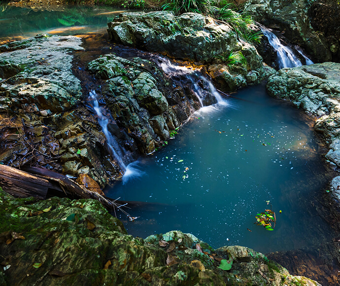 Unicorn Falls in Mount Jerusalem National Park, featuring a serene waterfall cascading into a clear pool, surrounded by dense, green forest.