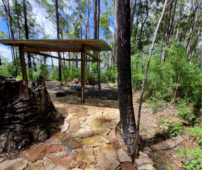 Shelter at Weeun Weeun Camp in Nightcap National Park, featuring a wooden structure surrounded by dense forest and tall trees.