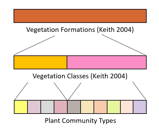 A hierarchical diagram shows Vegetation Formations in brown, branching into Vegetation Classes in yellow and pink, then into diverse Plant Community Types.