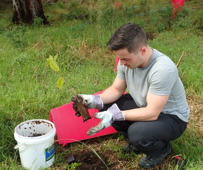 Young man crouching holding plant with gloved hands, bucket and clipboard nearby. 