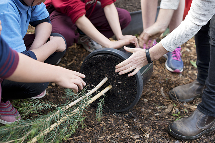 Children and adults work together to plant a small tree, hands steadying the pot on soil. The scene conveys teamwork and nurturing in a garden setting.