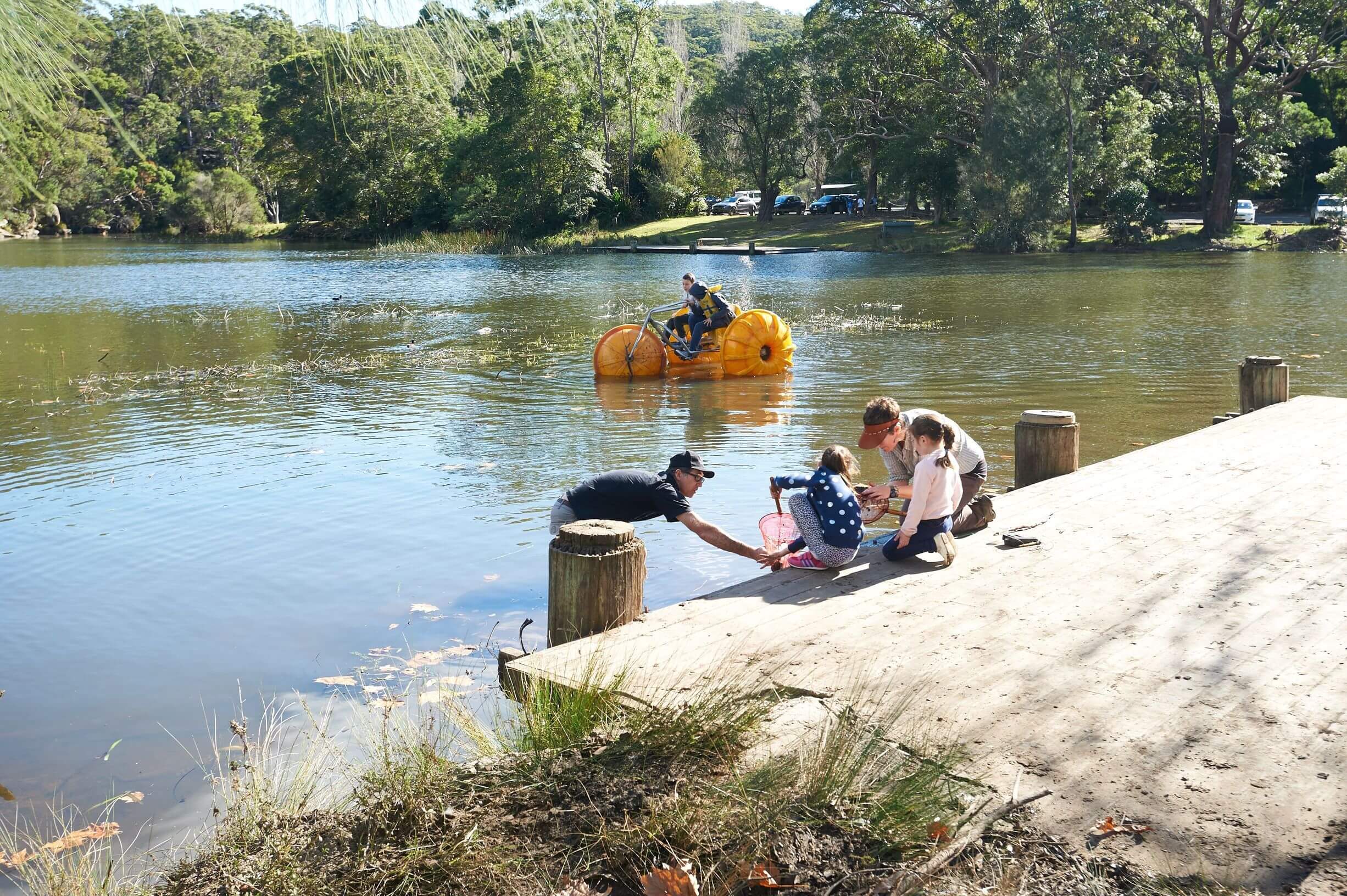 A group of people, including children, gather at the edge of a lake. One person reaches into the water with a net. In the background, someone rides a pedal-powered watercraft shaped like a pumpkin. Trees and parked cars are visible in the park setting.