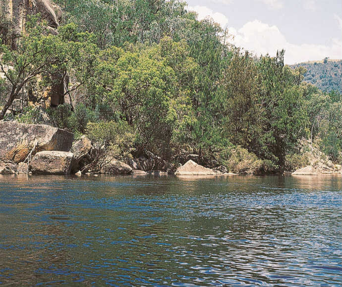 The image shows a natural landscape featuring a body of water in the foreground, likely a river or lake, with a forested area on the opposite bank. The forest consists of various trees and shrubs, and there are large rocks and boulders along the water's edge. The sky is partly cloudy, and there are hills visible in the background.