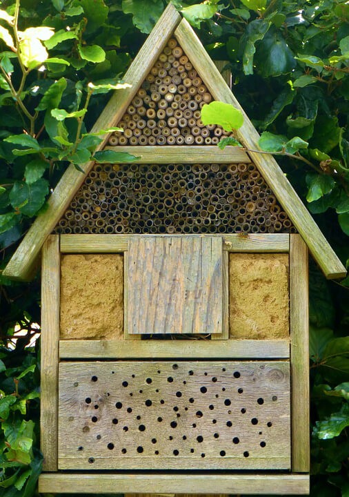 A wooden bee hotel with multiple compartments is nestled among green leaves. It features bamboo tubes and drilled wood, offering a rustic and inviting habitat.