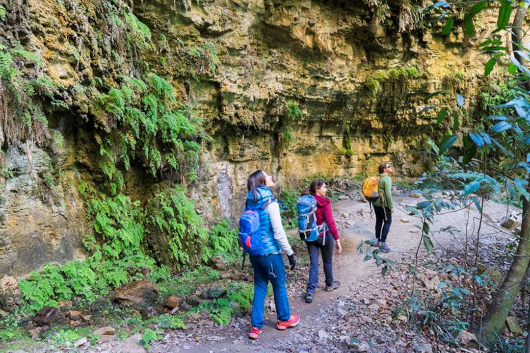 Three female hikers are shown looking up and around as they walk down a dirt trail at the base of a stippled cliff or ridge wall with small ferns growing off it