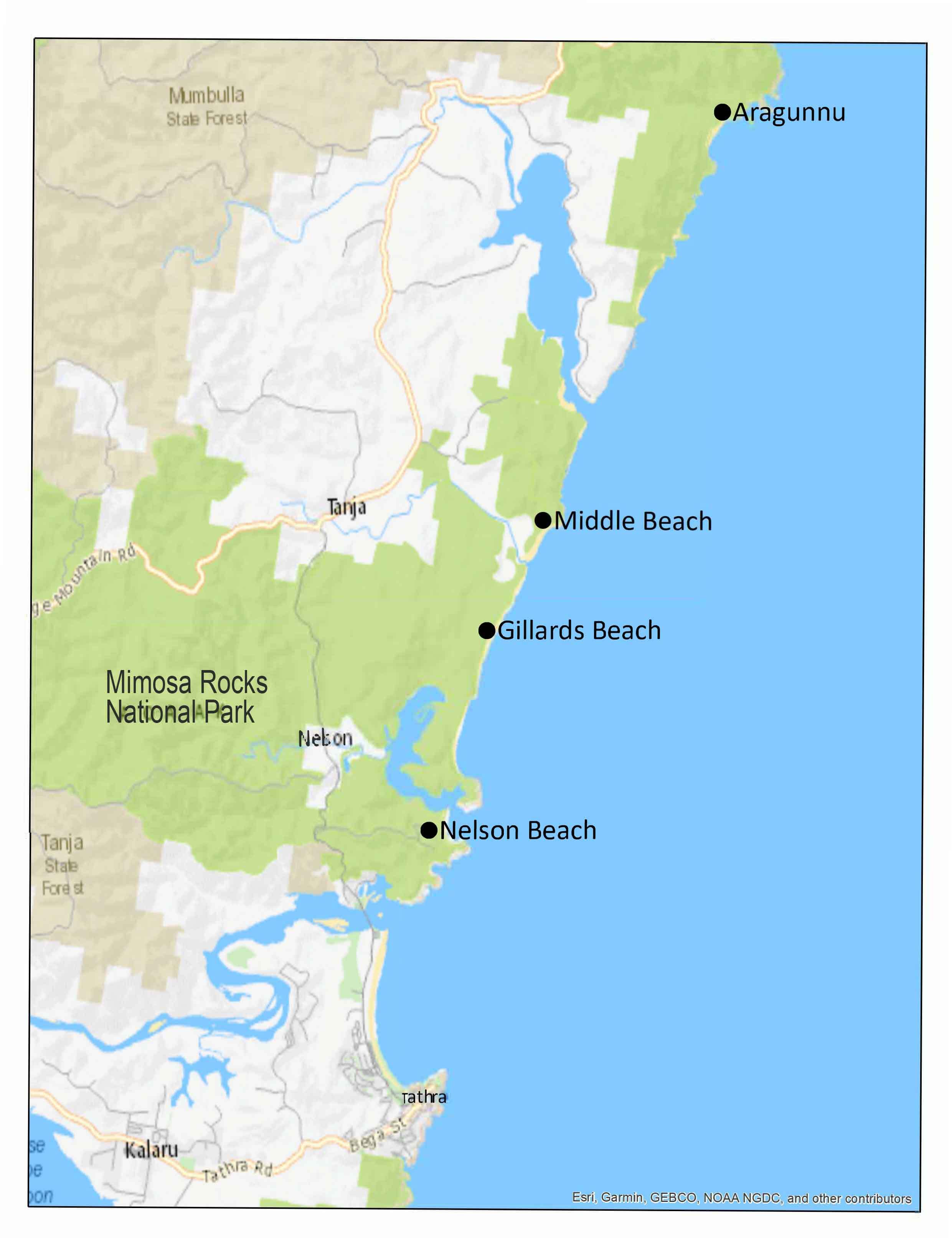 Map of Mimosa Rocks betterment precincts, including Aragunnu visitor precinct and campground, Gillards visitor precinct and campground, Middle Beach visitor precinct and campground and Nelson Beach visitor precinct