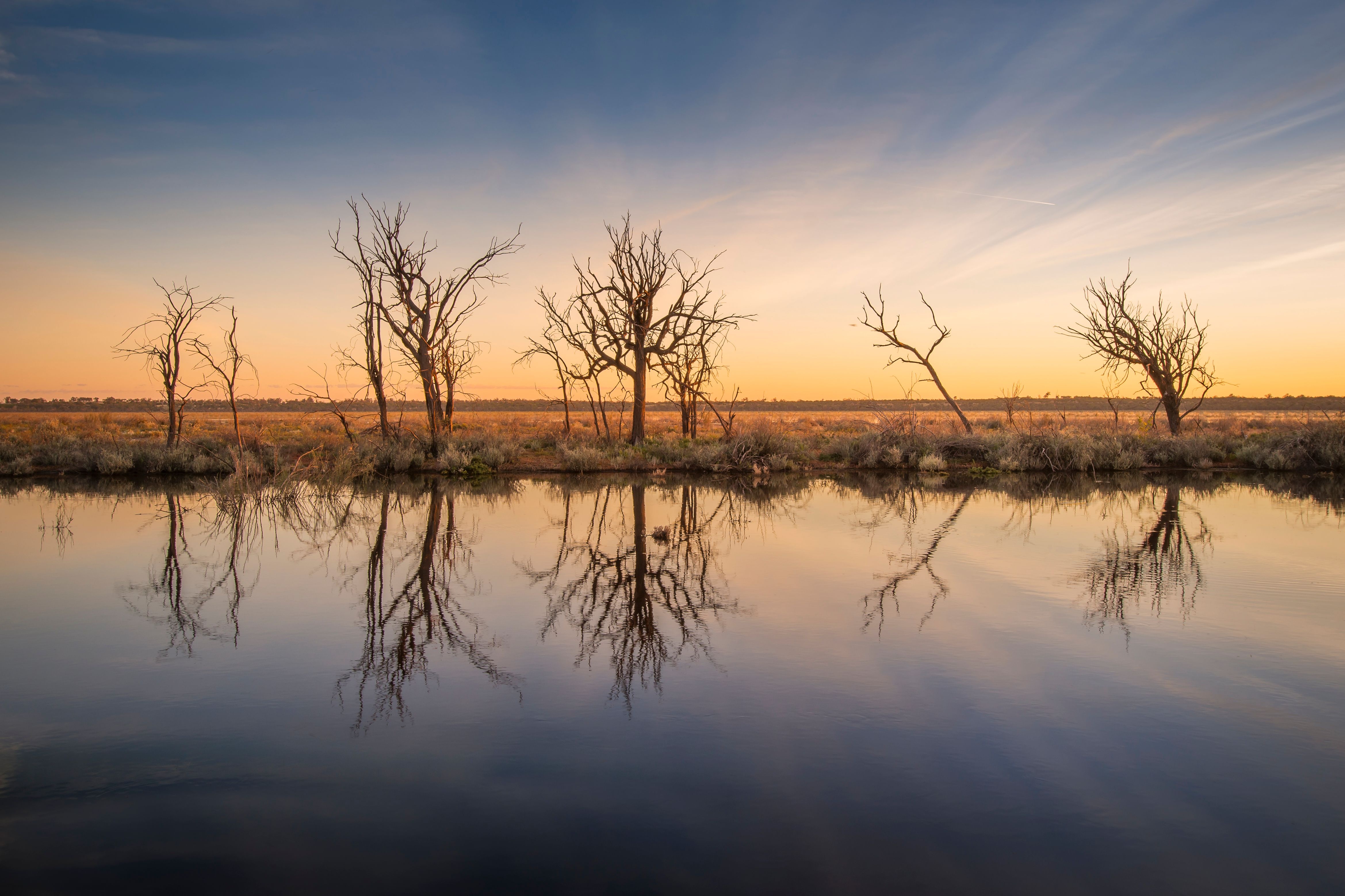 Sunrise over Mid Murray River wetlands with a dark blue and purple sky, accented by red and orange hues. Floating clouds add texture to the scene. Bare-branched trees line the edge of the wetlands, their reflections mirrored perfectly in the clear, still water.