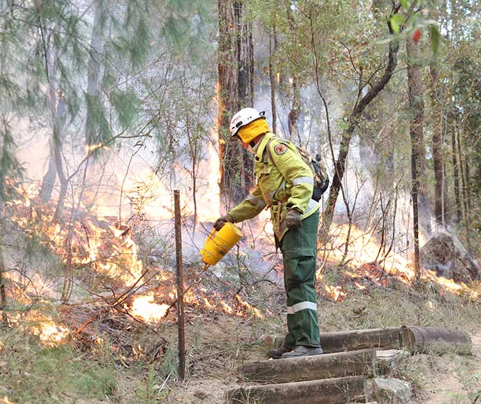 A firefighter using a fire lighter to burn grass