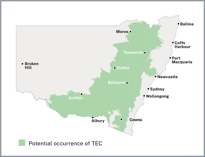 Map of New South Wales, Australia, shows areas with potential TEC occurrence in green. Key cities like Sydney, Newcastle, and Dubbo are labelled.
