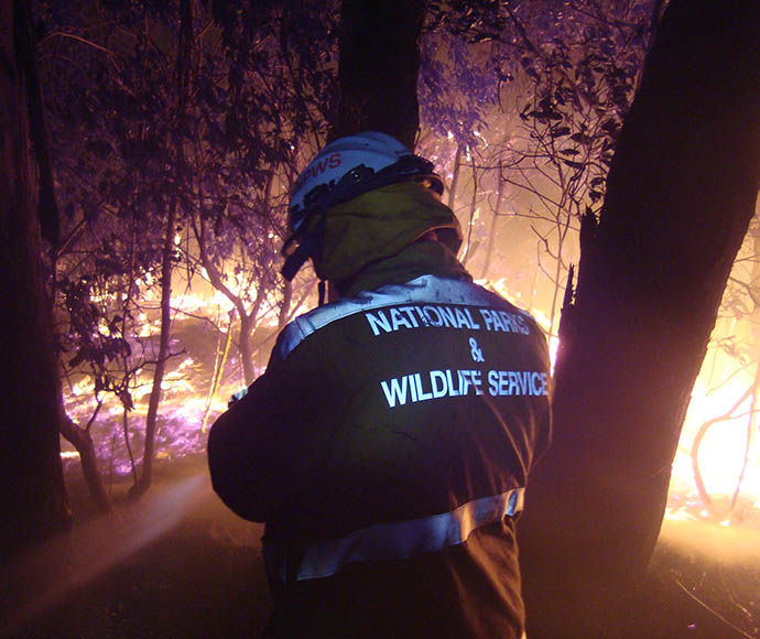 Firefighter in a 'National Parks and Wildlife' uniform watching as bushland burns at nighttime.