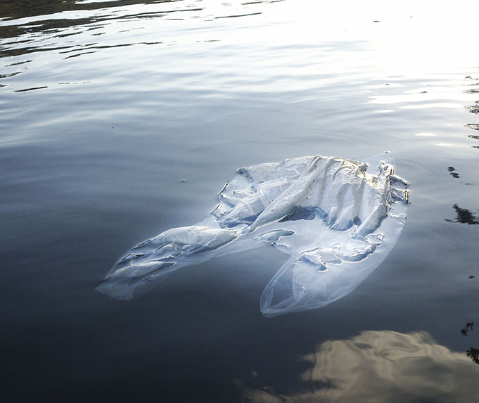 A plastic bag floating near the surface of a lake.