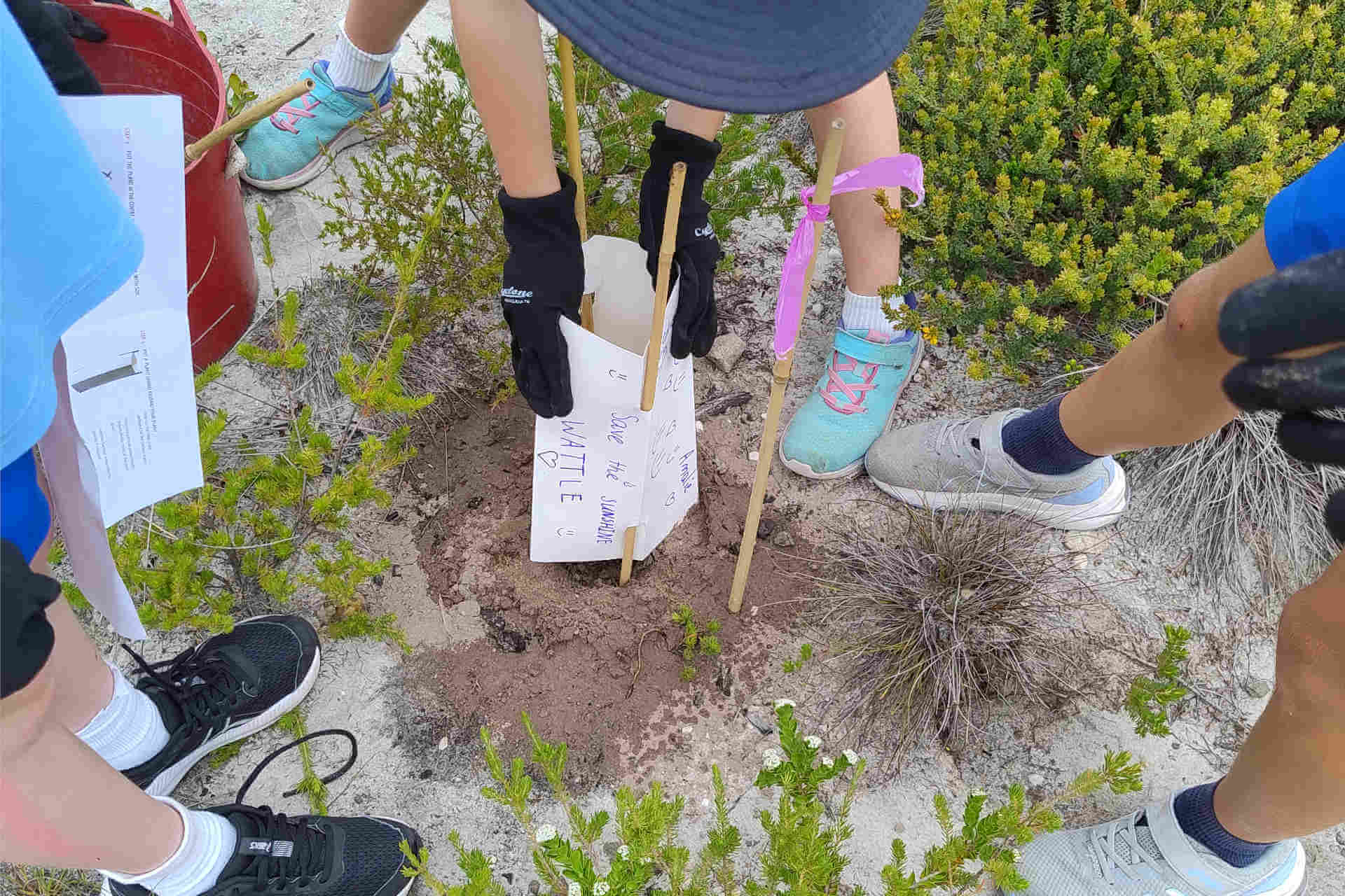 A child fixing a decorated plant guard to some stakes around (presumably) a seedling or young plant