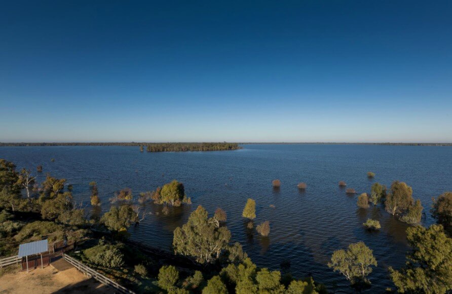 Photo of Yanga Lake in Yanga National Park. The top half of the image shows a bright blue sky, while the bottom half features a clear blue lake with scattered green trees emerging from the water.