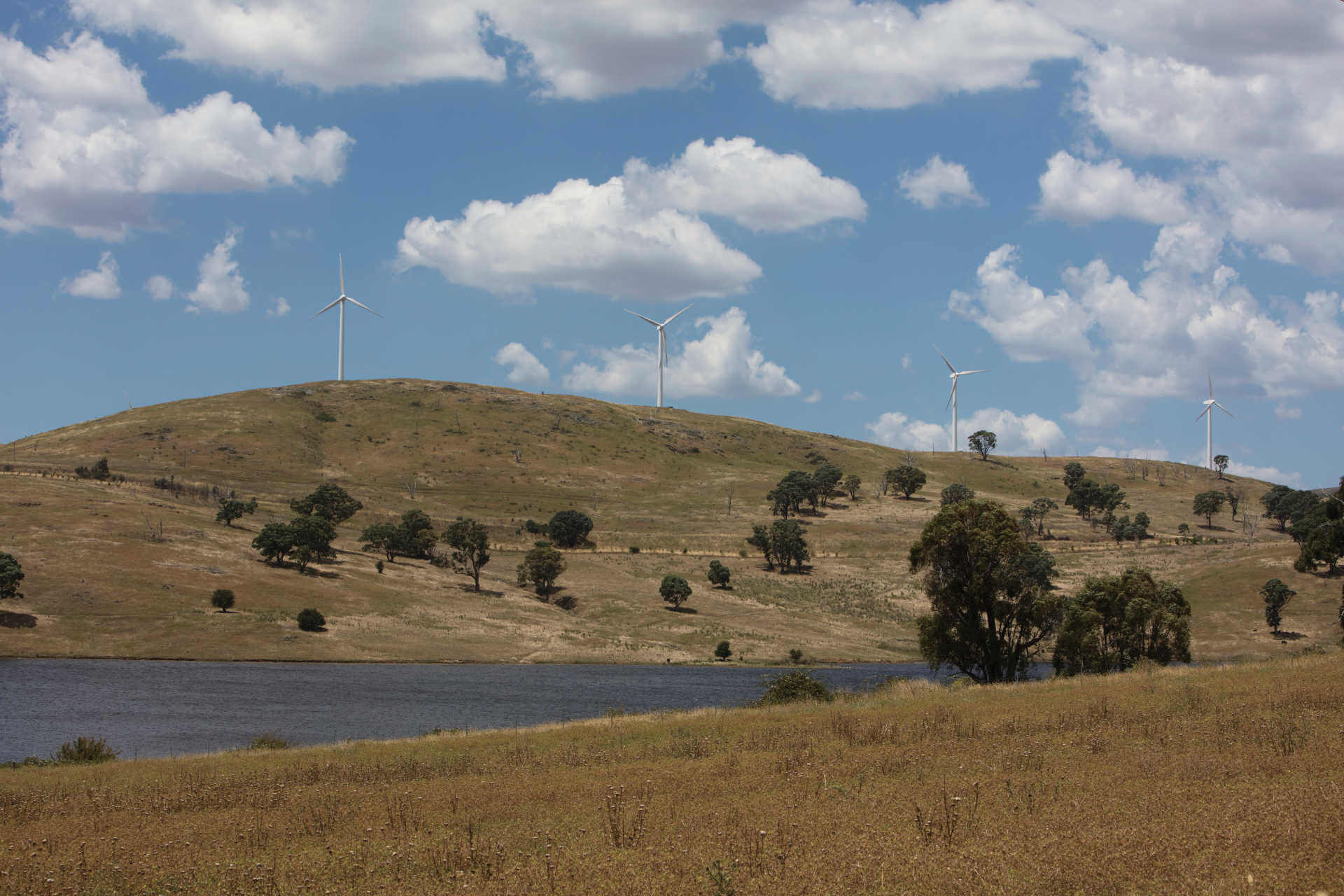 View across Carcoar Lake with windfarm on the hill in the distance.