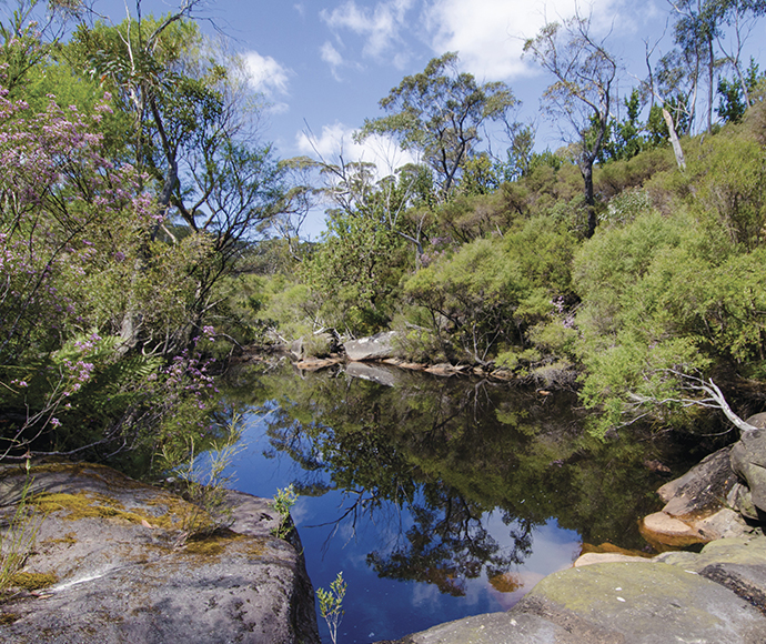 Surveying Barren Grounds-Budderoo | NSW Environment & Heritage